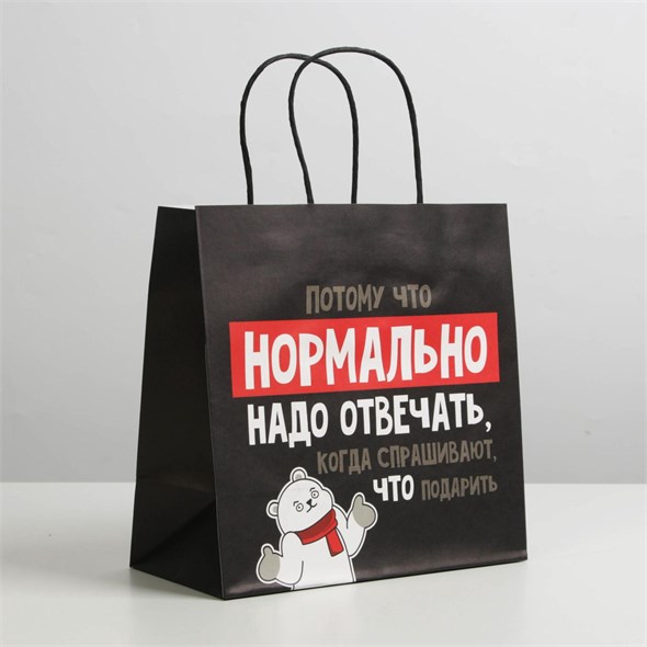 Пакет подарочный «Нормально надо отвечать», 22 ? 22 ? 11 см 00001310217 - фото 64482