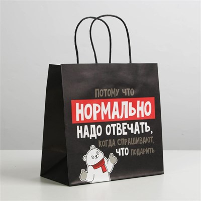 Пакет подарочный «Нормально надо отвечать», 22 ? 22 ? 11 см 00001310217