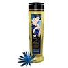 Масло массажное Shunga Erotic Massage Oil ночной цветок, 240 мл - фото 50407